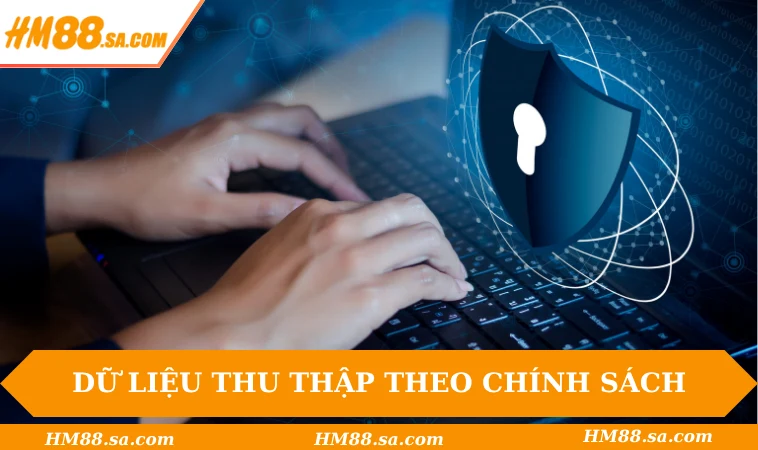 Chính sách bảo mật HM88 2 Những dữ liệu thu thập theo chính sách bảo mật HM88