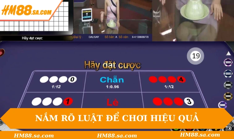 Tân binh phải nắm rõ luật để chơi hiệu quả